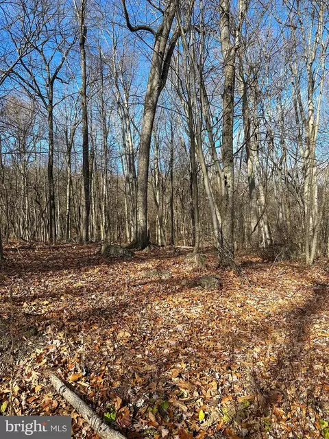 90 Core Rd, Romney, WV 26757 photo 6