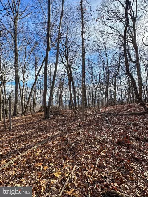 90 Core Rd, Romney, WV 26757 photo 11