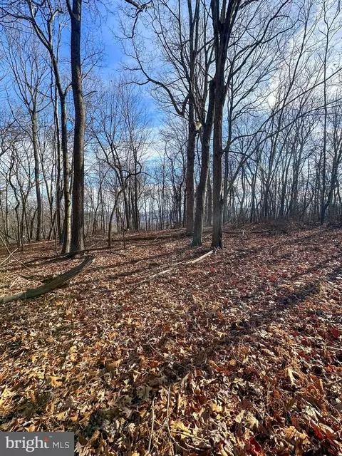 90 Core Rd, Romney, WV 26757 photo 24