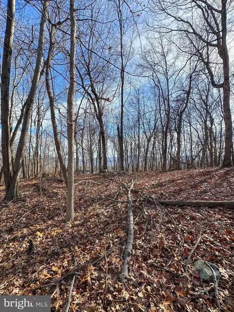 90 Core Rd, Romney, WV 26757 photo 10