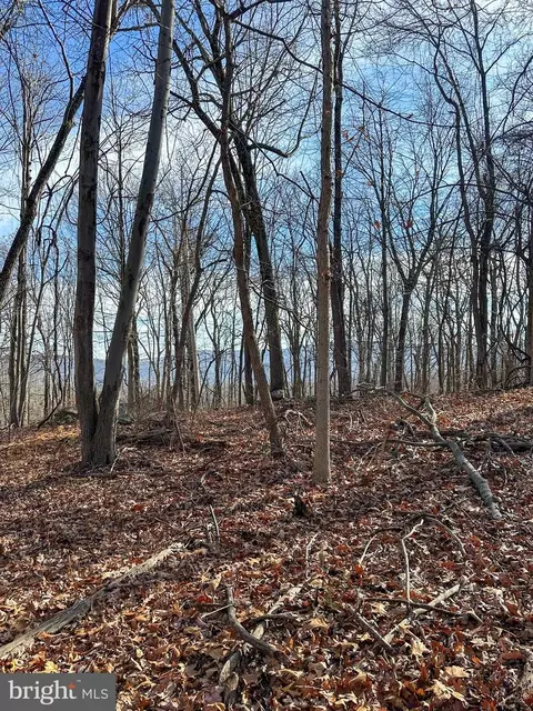 90 Core Rd, Romney, WV 26757 photo 12