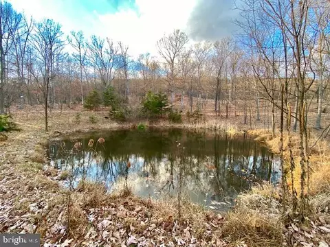 bobcat hollow road LOT 37, Romney, WV 26757