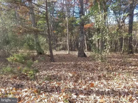 Turkey Hollow Road, Romney, WV 26757