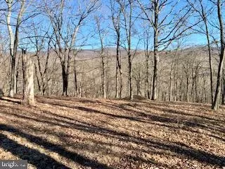 100 Walnut Grove Court, Paw Paw, WV 25434
