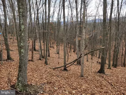 Russeldale Road, Purgitsville, WV 26852