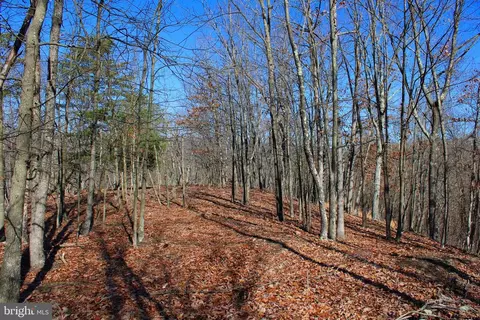 20 Acres Caribou Dr, Points, WV 25437