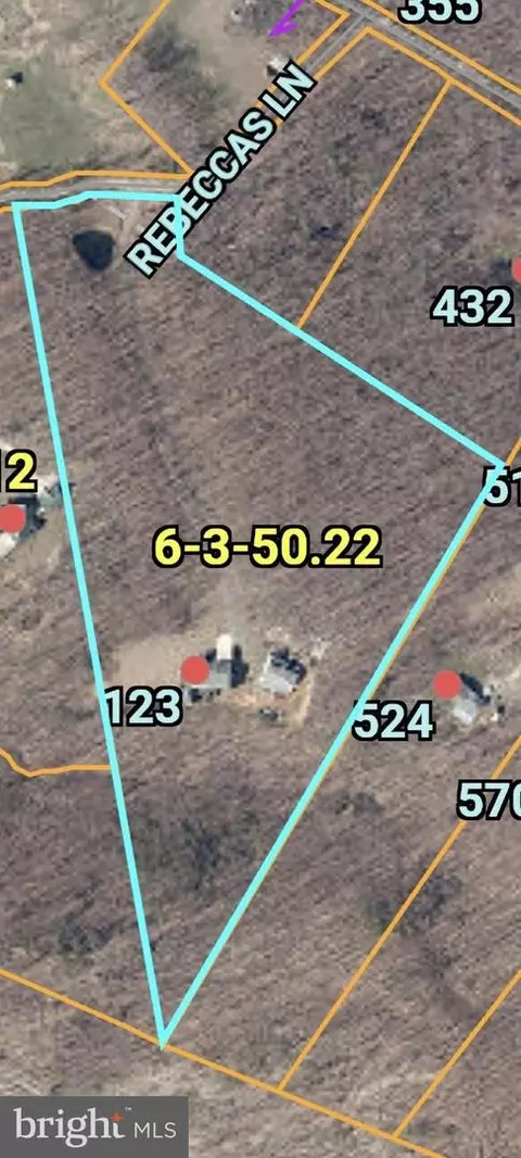 View/Area - 123 Rebeccas Ln, Old Fields, WV 26845 photo 3 of 16