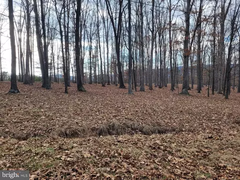 View/Area - 123 Rebeccas Ln, Old Fields, WV 26845 photo 15 of 16