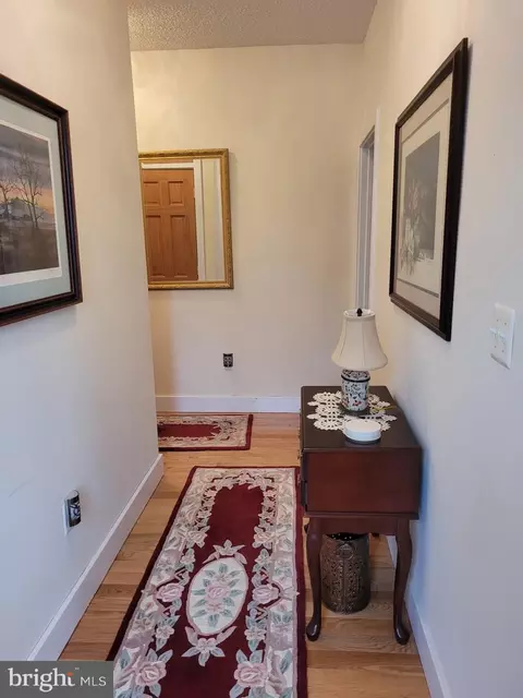 Other - 123 Rebeccas Ln, Old Fields, WV 26845 photo 15 of 16
