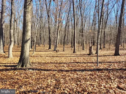 View/Area - 123 Rebeccas Ln, Old Fields, WV 26845 photo 2 of 16