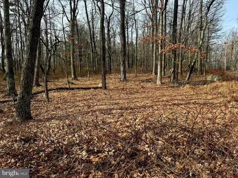 20 47 Ac Longbeard Ln, Capon Bridge, WV 26711