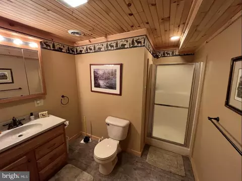 Bath - 112 Sea Biscuit Dr, Points, WV 25437 photo 3 of 4