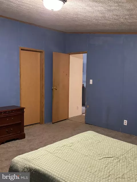 325 Flintlock Dr, Springfield, WV 26763 photo 32