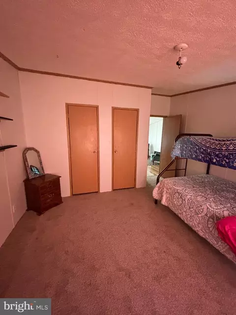 325 Flintlock Dr, Springfield, WV 26763 photo 41