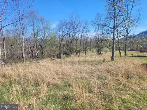 High View Road, Old Fields, WV 26845 photo 22