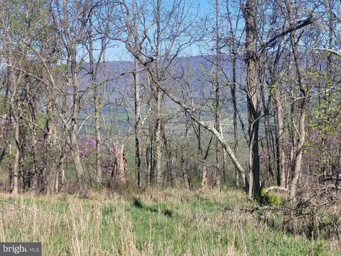 High View Road, Old Fields, WV 26845 photo 23