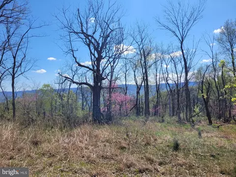 High View Road, Old Fields, WV 26845 photo 32