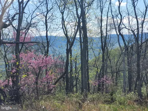 High View Road, Old Fields, WV 26845 photo 33