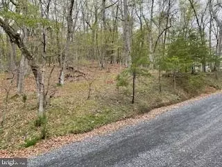Top Drive, Romney, WV 26757 photo 4