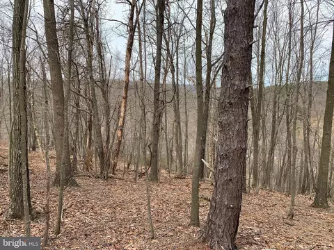 Bunker Lane, Springfield, WV 26763 photo 7