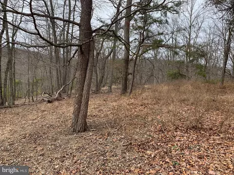 Bunker Lane, Springfield, WV 26763 photo 11