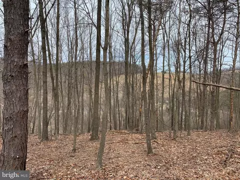 Bunker Lane, Springfield, WV 26763 photo 6