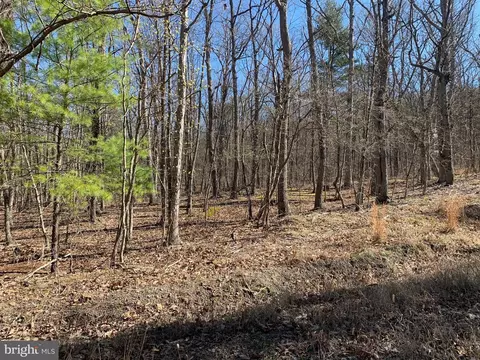Bunker Lane, Springfield, WV 26763