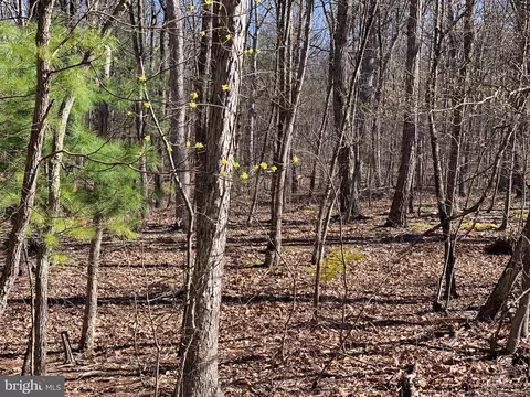 Bunker Lane, Springfield, WV 26763 photo 4