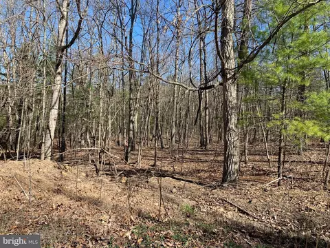 Bunker Lane, Springfield, WV 26763 photo 2