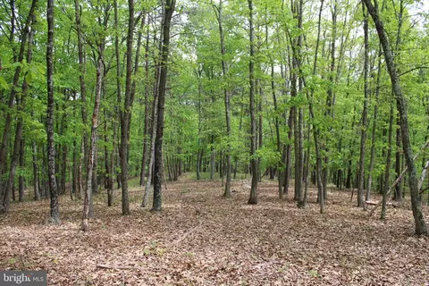 21 23 Ac Oak Ridge Rd, Springfield, WV 26763