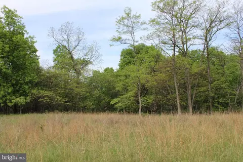 Lot 39 High View Road, Purgitsville, WV 26852