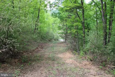 10 172 Ac Proctor Rd, Purgitsville, WV 26852