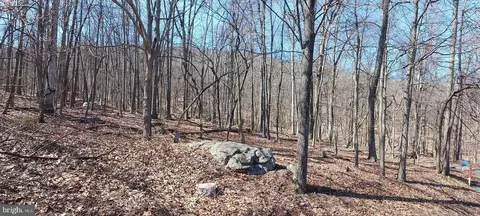 Wild Apple Lane, Paw Paw, WV 25434