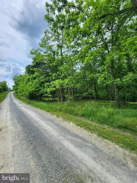White Pine Lane, Capon Bridge, WV 26711