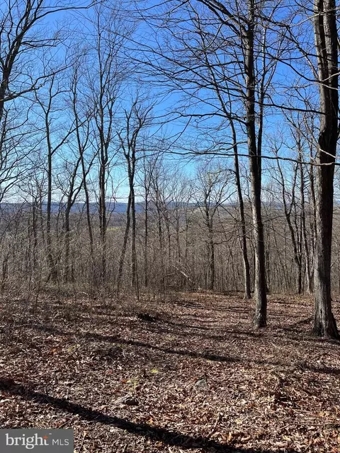 Bear Ridge Road, Yellow Spring, WV 26865