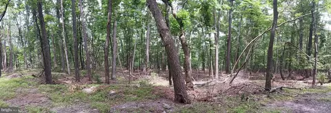 lot6 Wild Apple Ln, Paw Paw, WV 25434