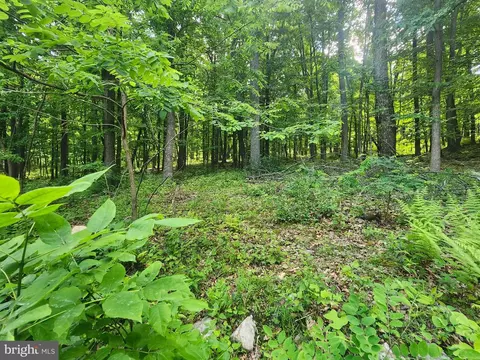 65 Cabin Road, Capon Bridge, WV 26711