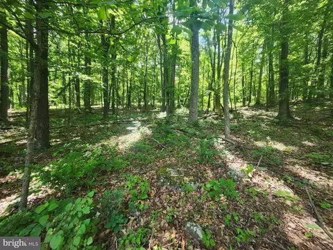 66 Cabin Road, Capon Bridge, WV 26711