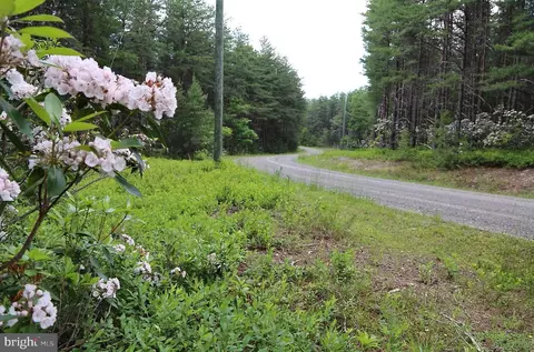 80 Doe Garden Dr, Yellow Spring, WV 26865