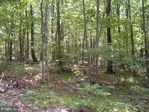 Lot 24 Ben's Knob Trail, Capon Bridge, WV 26711
