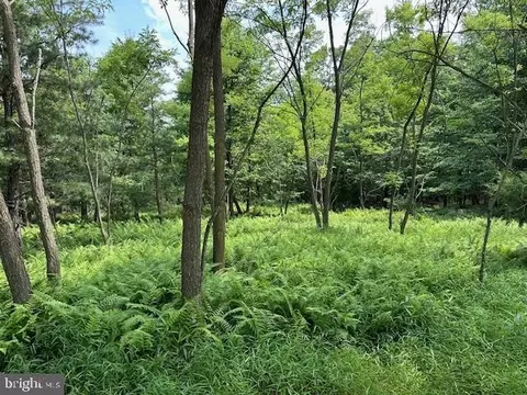 lot178 Majestic View Ln, Romney, WV 26757