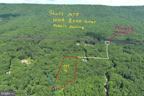 Lot #16 North River Wilderness, Delray, WV 26714
