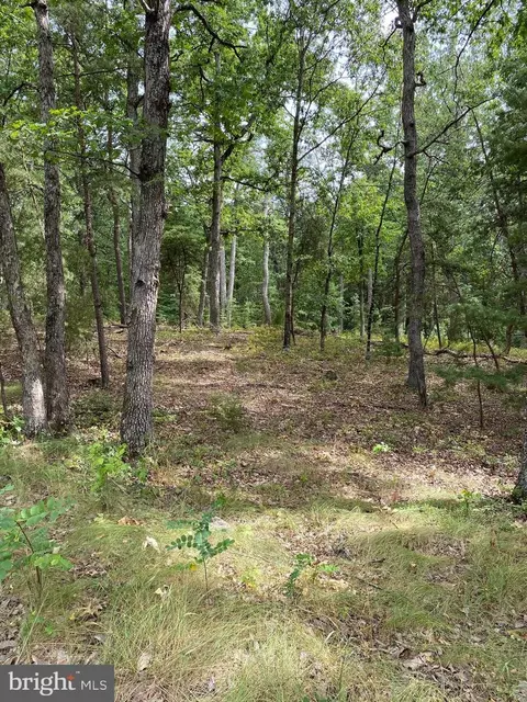lot38 Janes Way, Yellow Spring, WV 26865