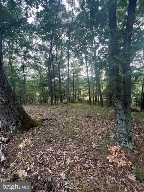 lot8 N River Rd, Augusta, WV 26704