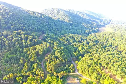lot9 Trinity Rd, Purgitsville, WV 26852