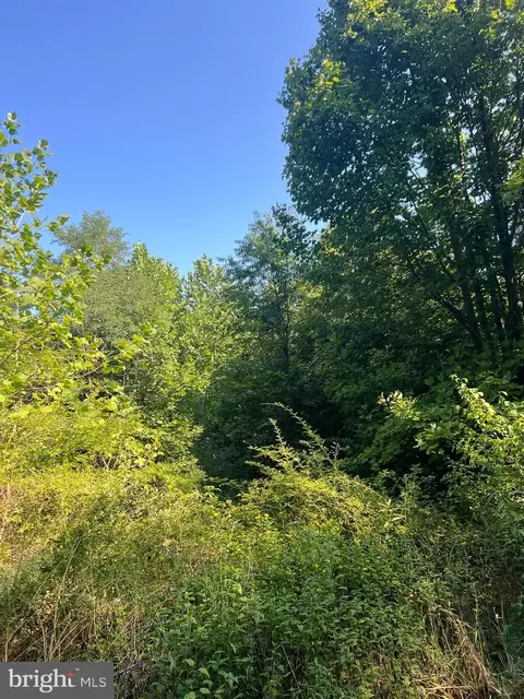 7 602 Ac Mack, Augusta, WV 26704