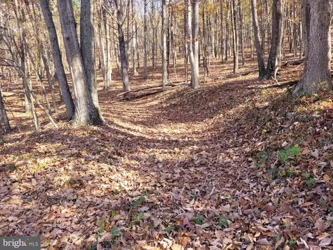 Little Cacapon Mtn Rd/whippoorwill Song Lane, Augusta, WV 26704