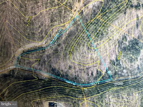 6 461 Acres Trinity Rd, Romney, WV 26757