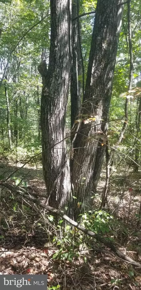 lot20 Sherman Dr, Augusta, WV 26704