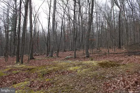 14 29 Ac Whispering Pines Rd, Slanesville, WV 25444